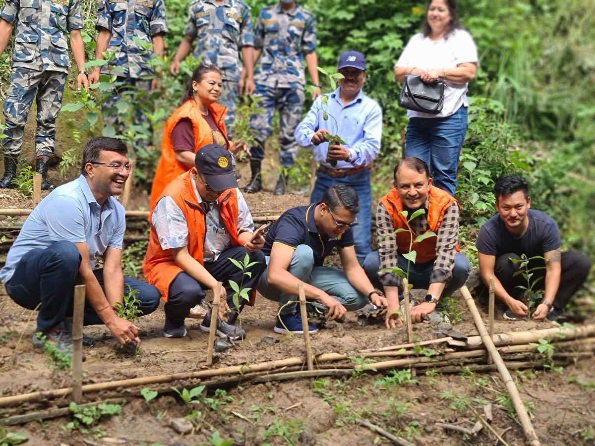 Plantation Program